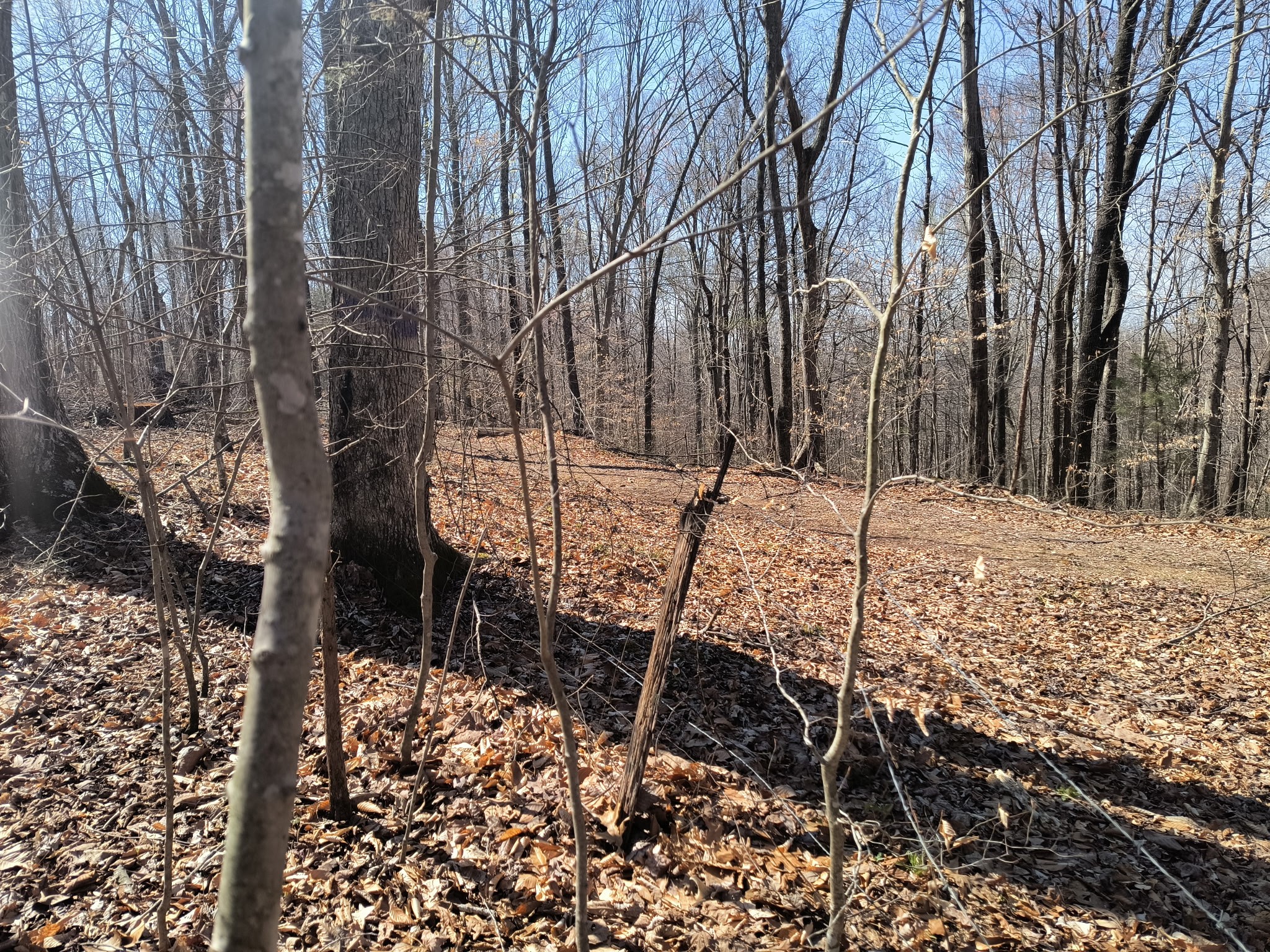 0 Big Hill Rd Property Photo 50