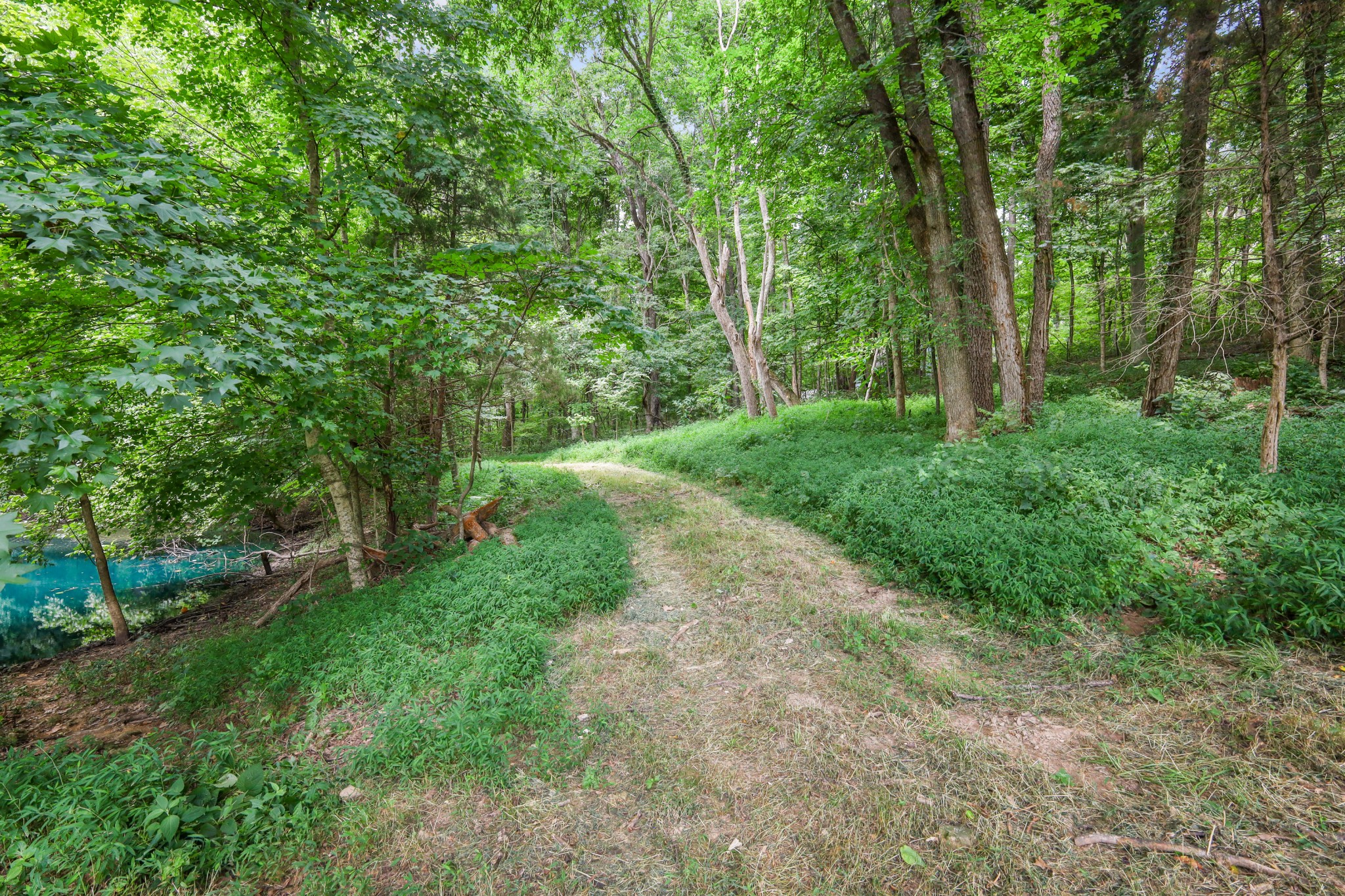 2 Jim Read Rd Property Photo 15