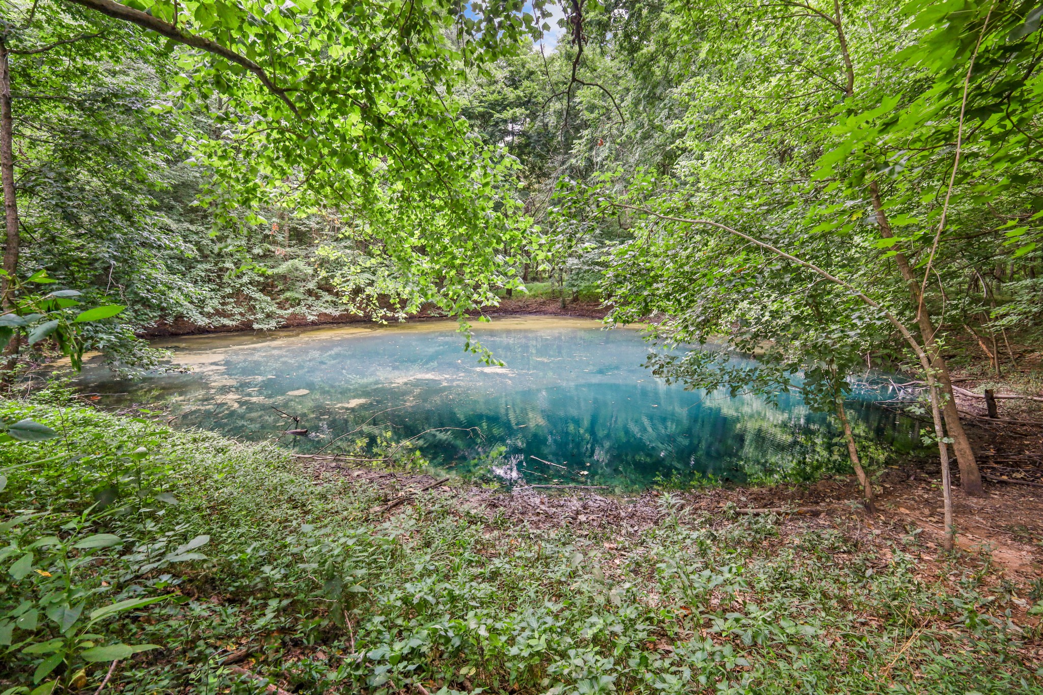 2 Jim Read Rd Property Photo 17