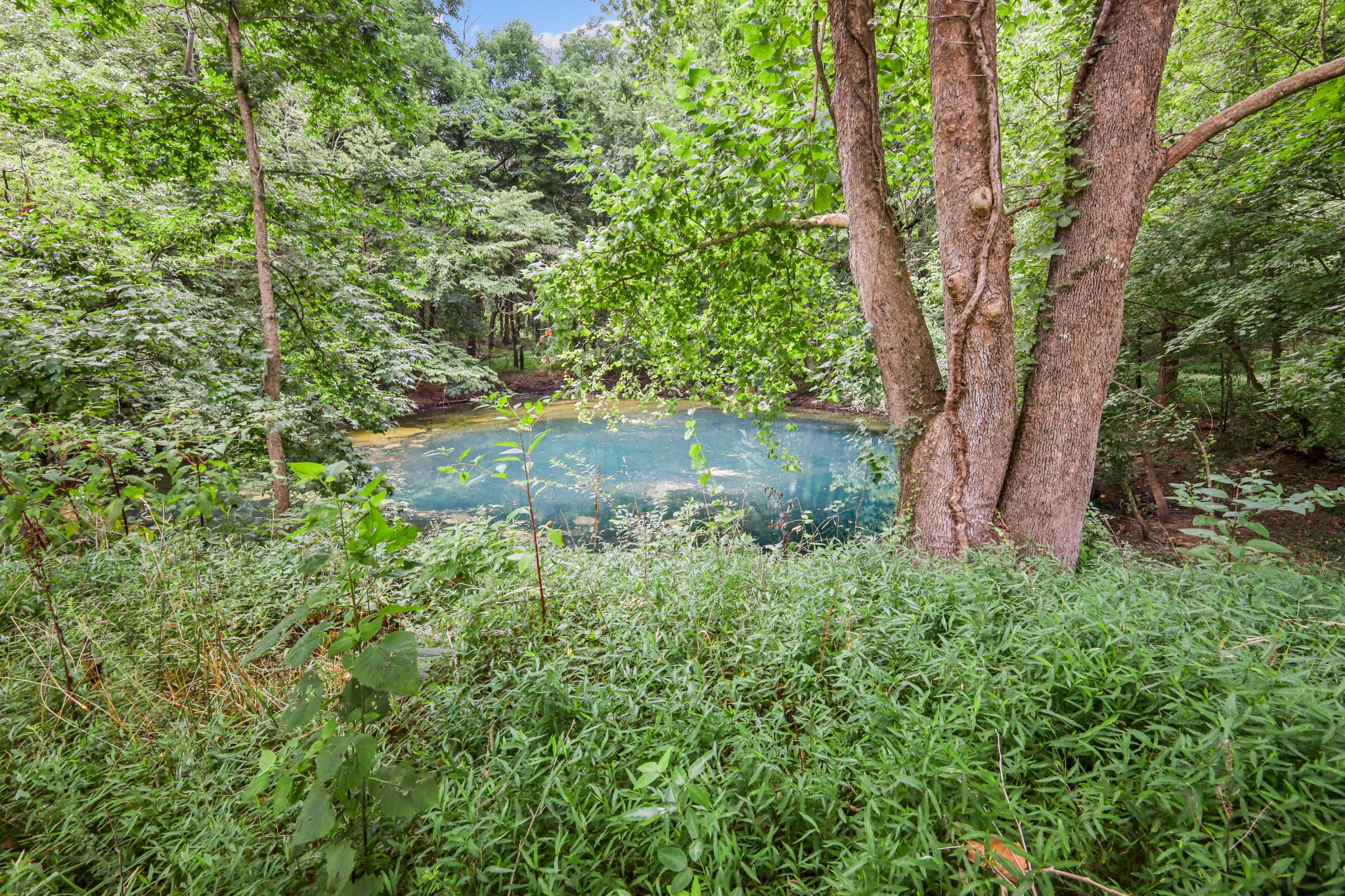 2 Jim Read Rd Property Photo 18
