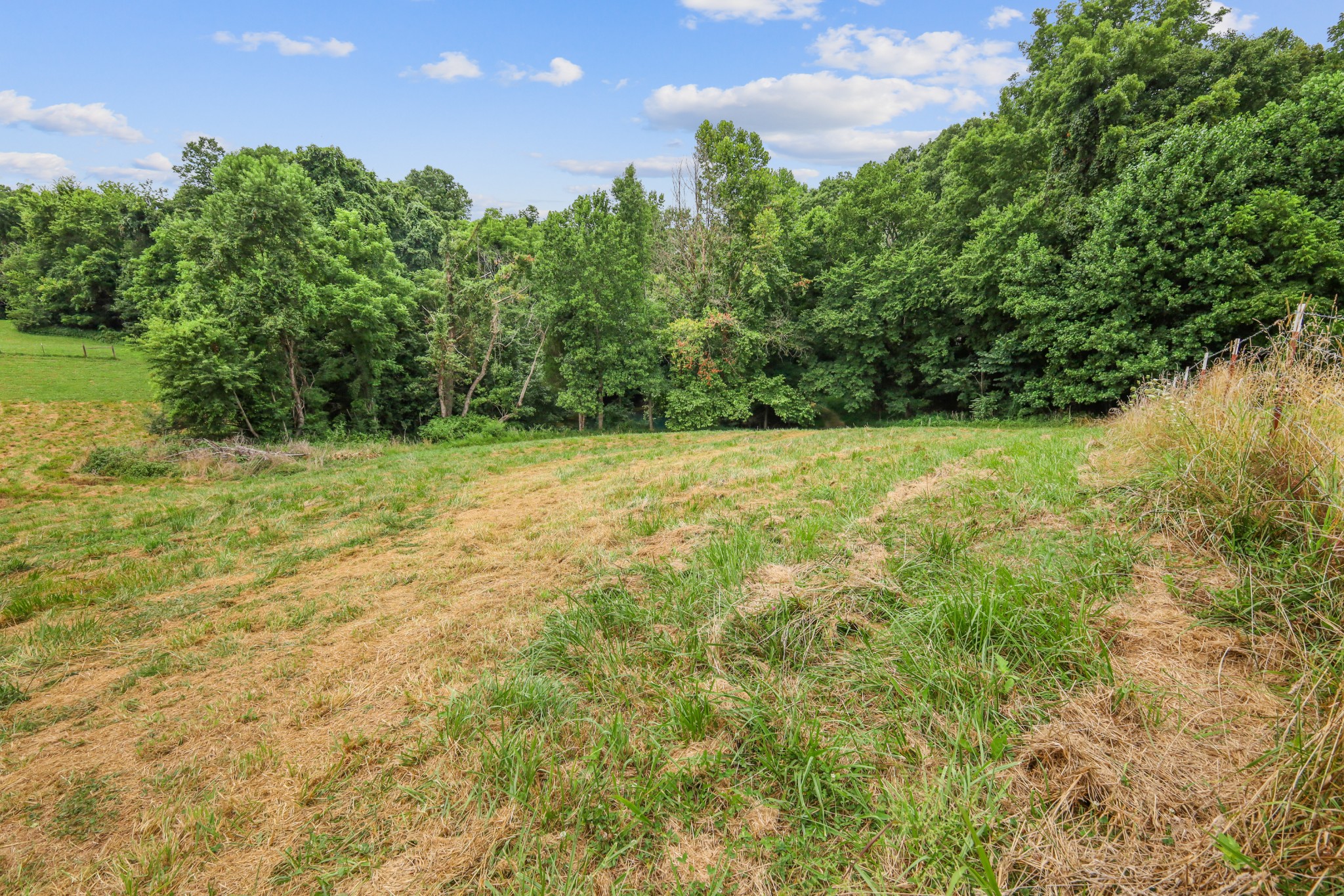 2 Jim Read Rd Property Photo 22