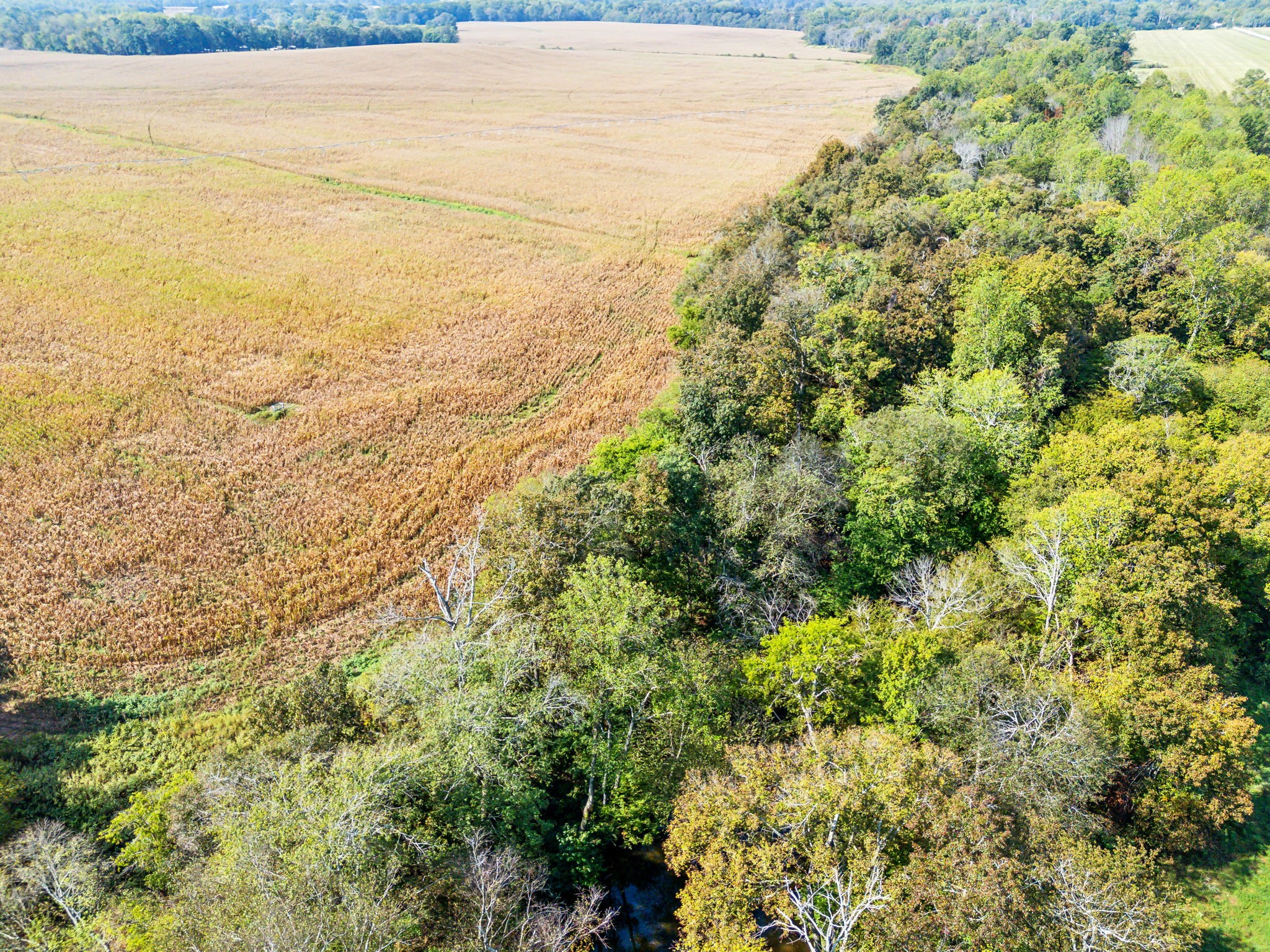 7896 Shady Grove Rd Property Photo 8
