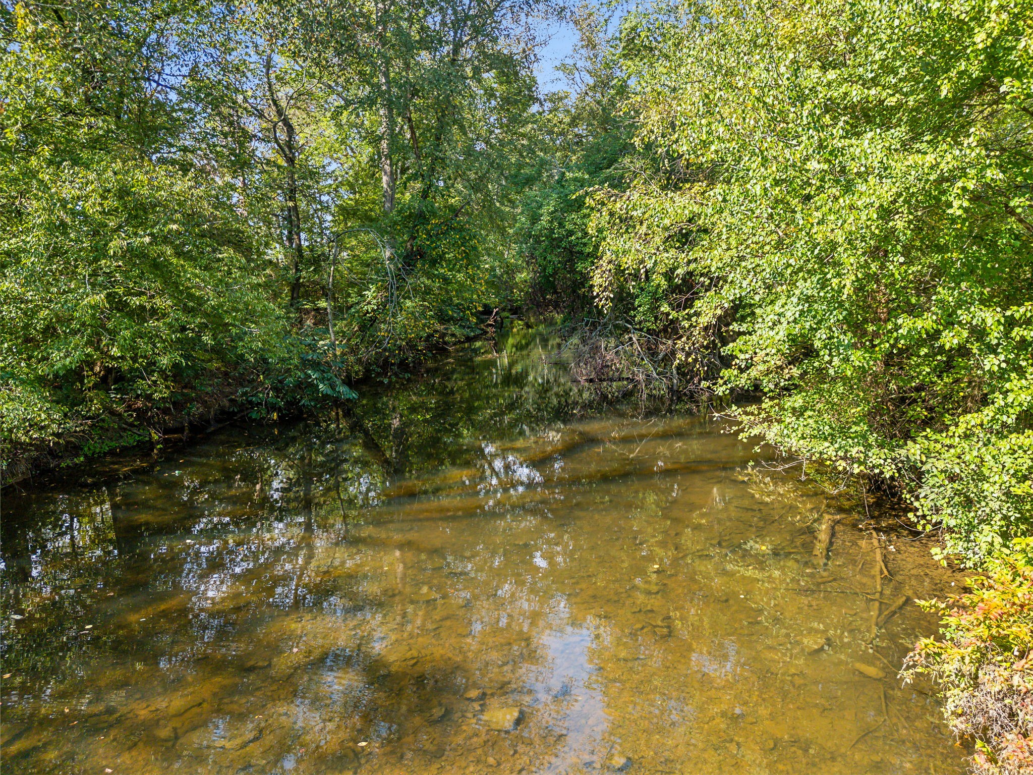 7896 Shady Grove Rd Property Photo 9