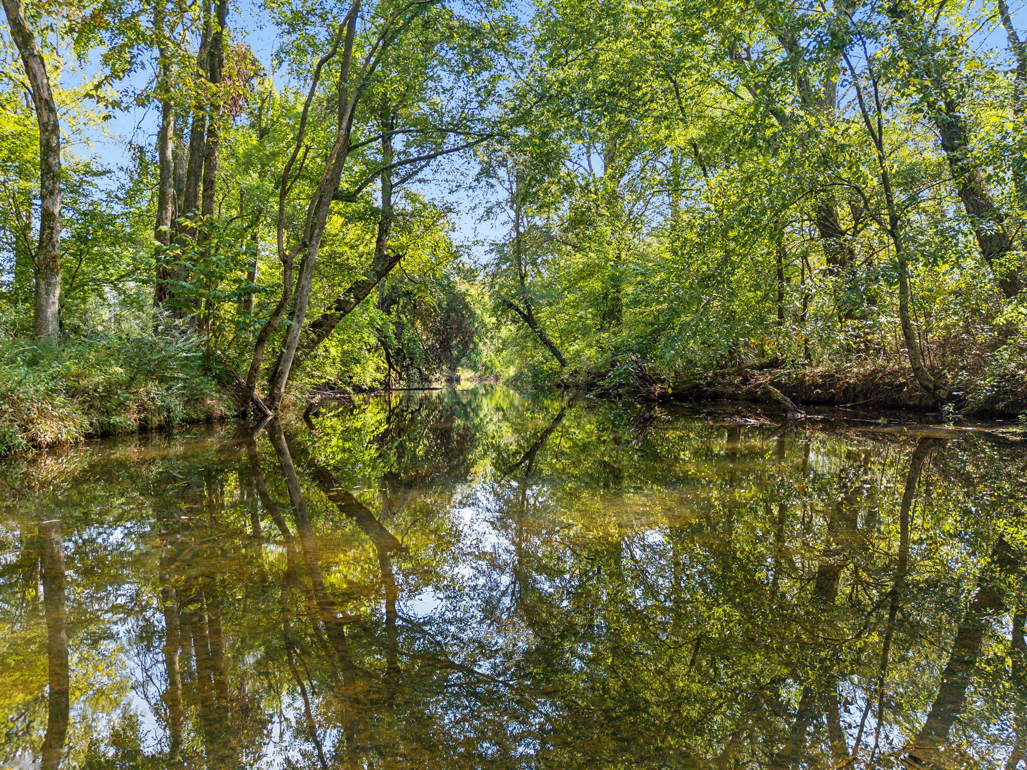 7896 Shady Grove Rd Property Photo 15