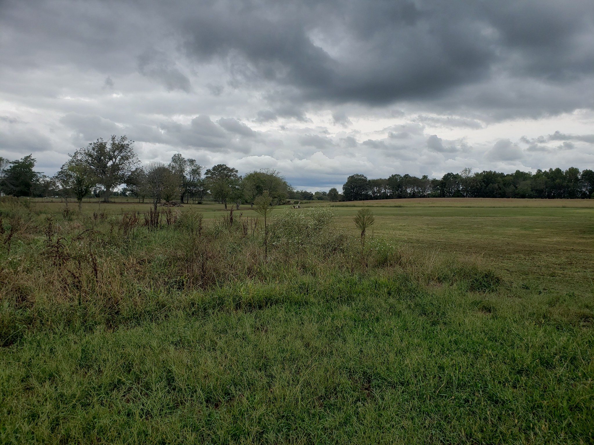 0 Shelbyville Rd Property Photo 32