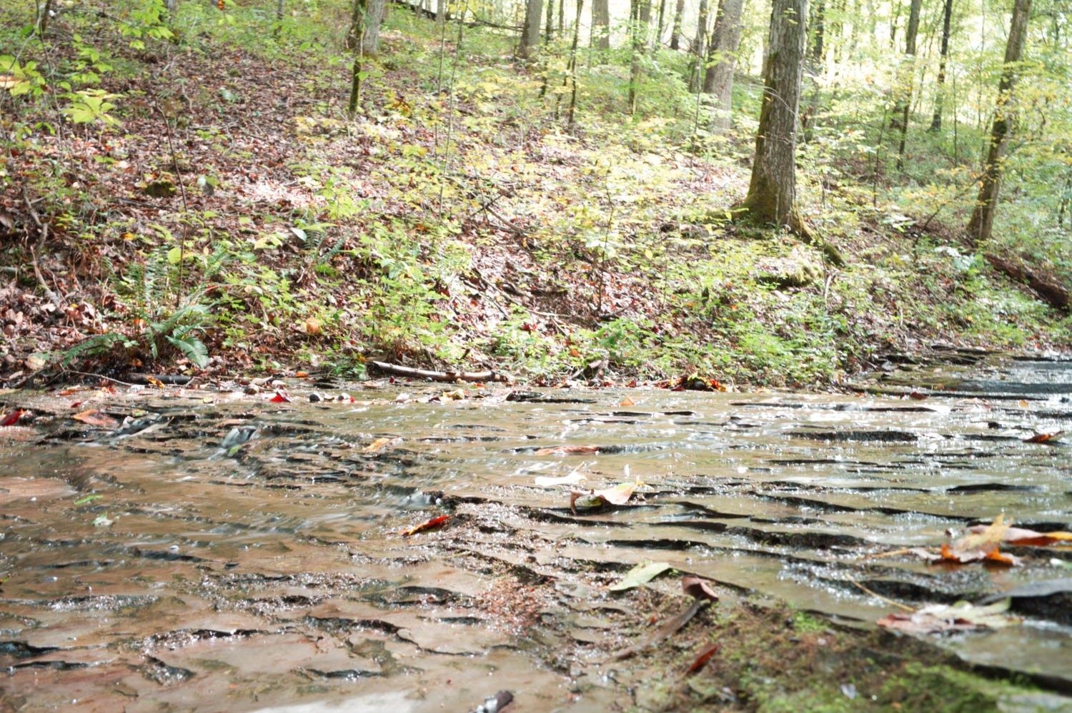 1 Ross Hollow Rd Property Photo 9
