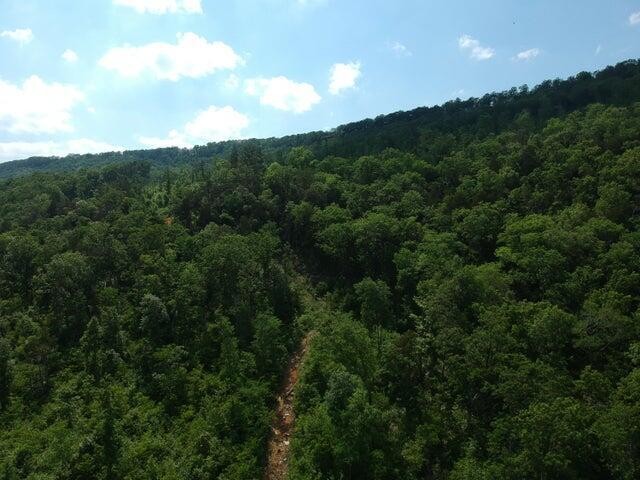 2352 Byrds Chapel Road Property Photo 6