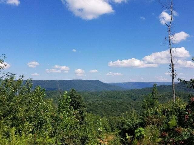 2352 Byrds Chapel Road Property Photo 8