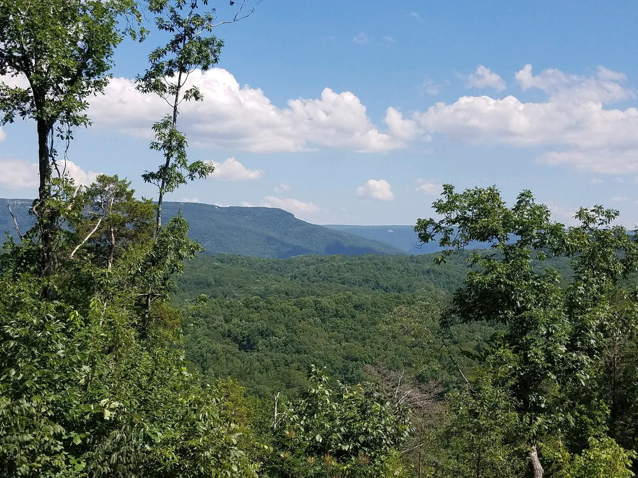 2352 Byrds Chapel Road Property Photo 10