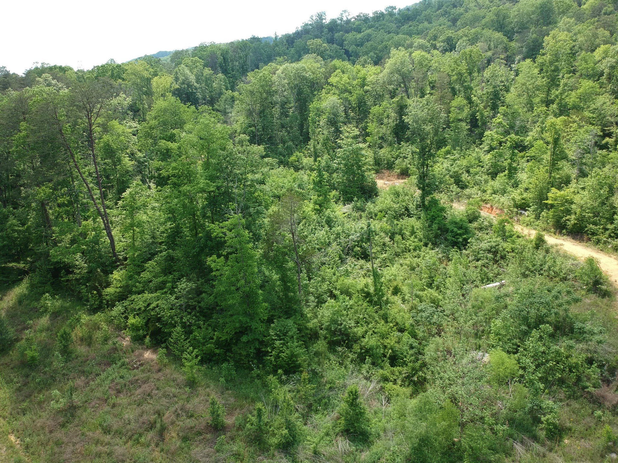 2352 Byrds Chapel Road Property Photo 13