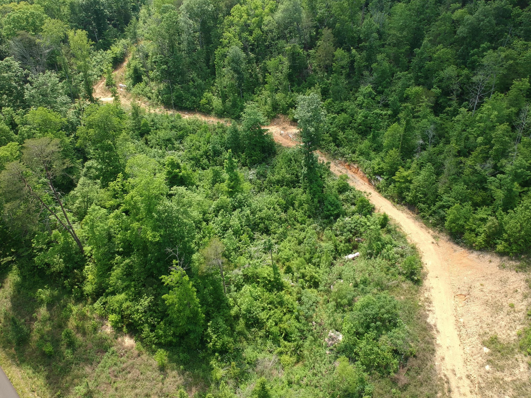 2352 Byrds Chapel Road Property Photo 14