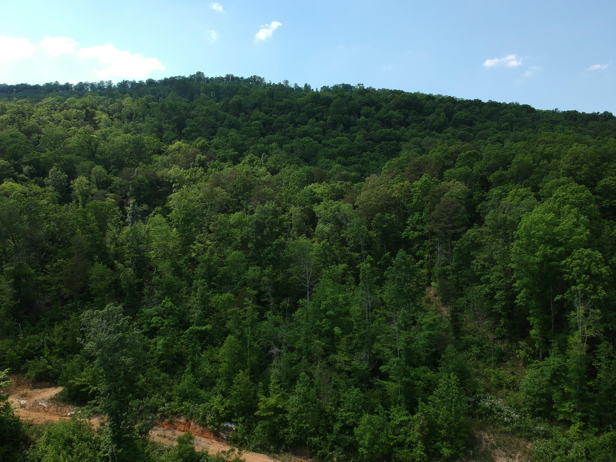 2352 Byrds Chapel Road Property Photo 16