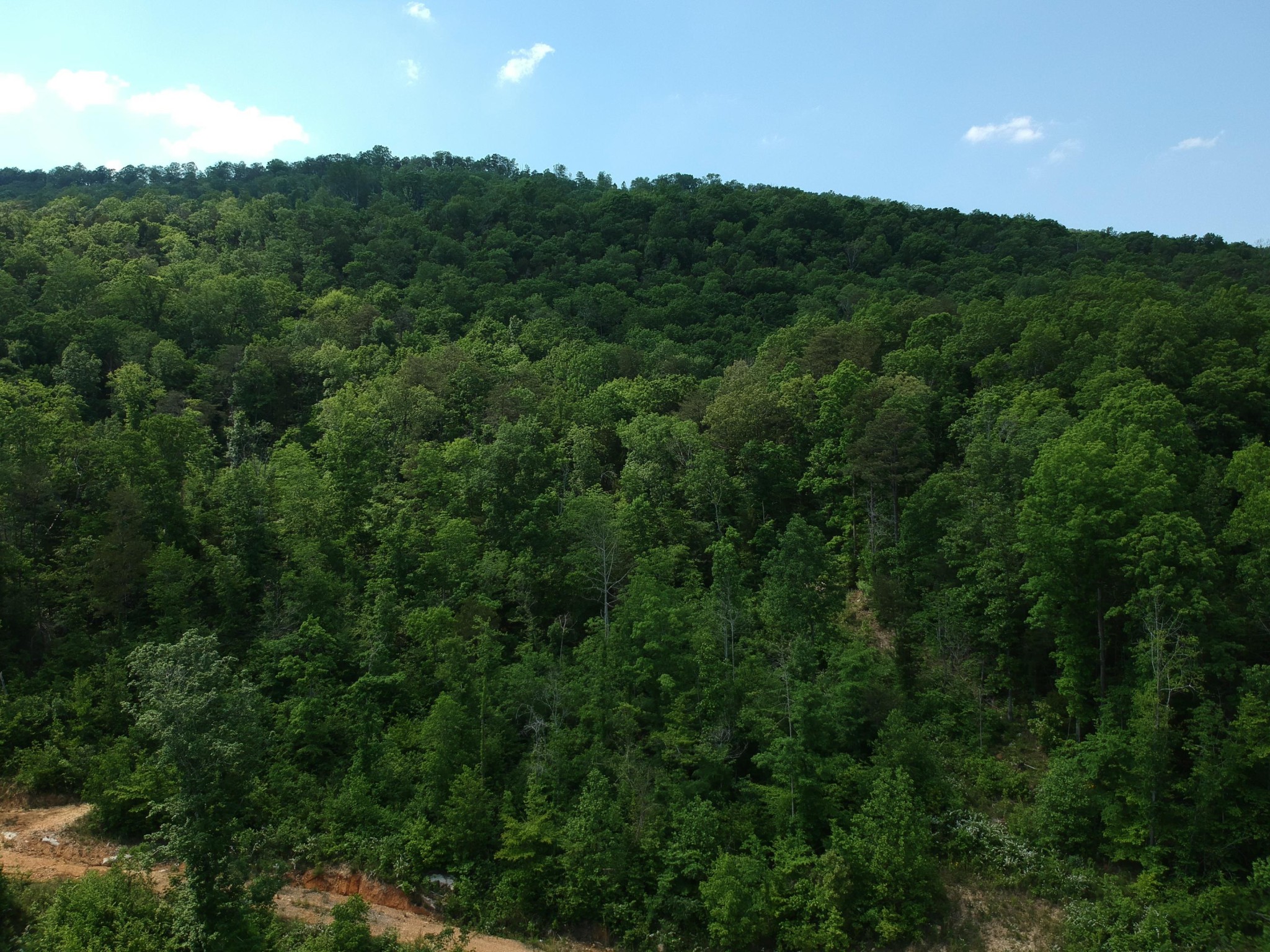 2352 Byrds Chapel Road Property Photo 17