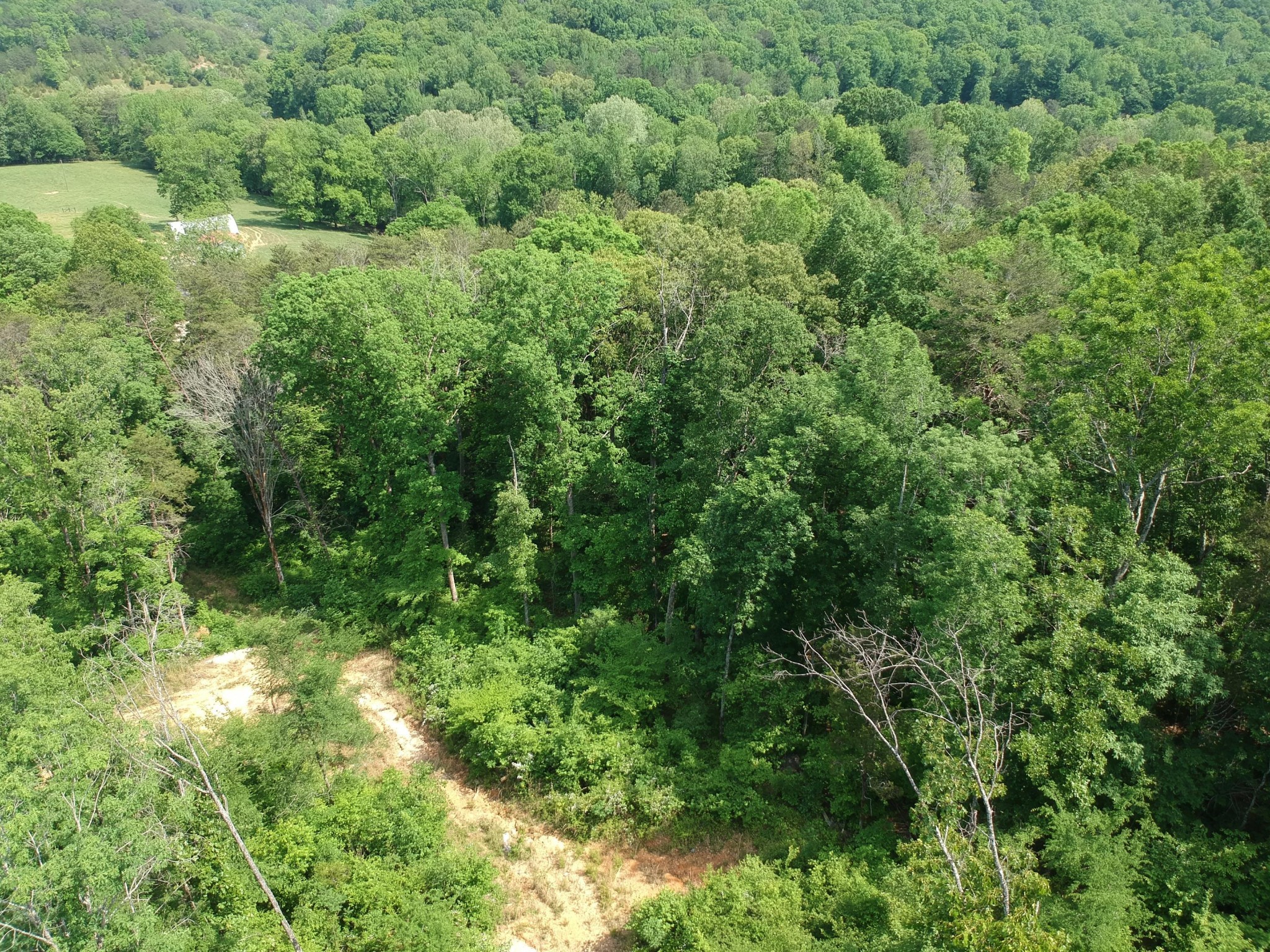 2352 Byrds Chapel Road Property Photo 18