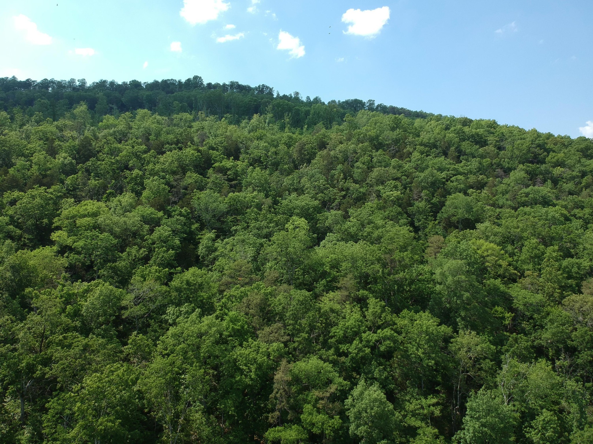 2352 Byrds Chapel Road Property Photo 21