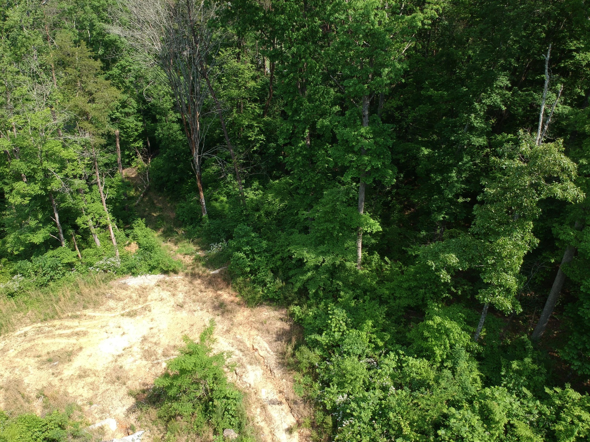2352 Byrds Chapel Road Property Photo 26