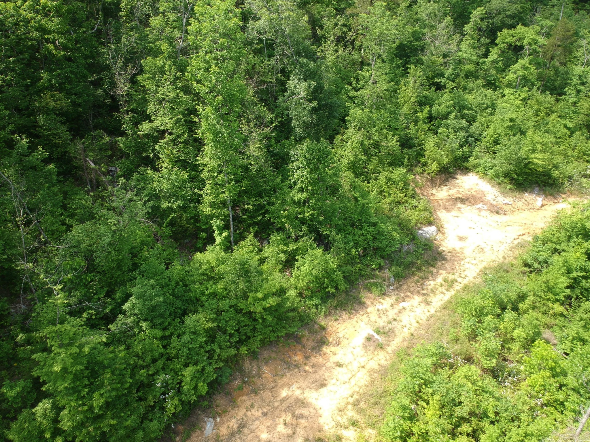 2352 Byrds Chapel Road Property Photo 29