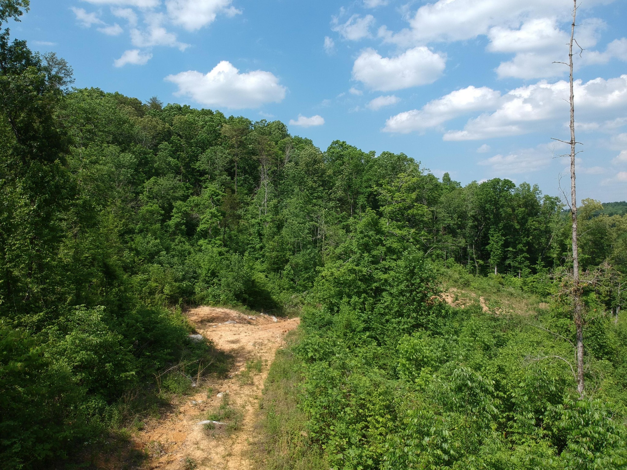 2352 Byrds Chapel Road Property Photo 32