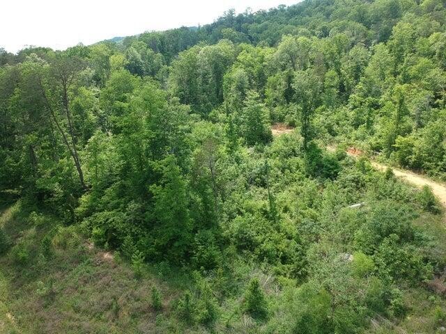 2352 Byrds Chapel Road Property Photo 37