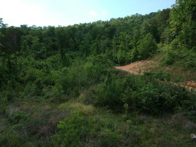 2352 Byrds Chapel Road Property Photo 38