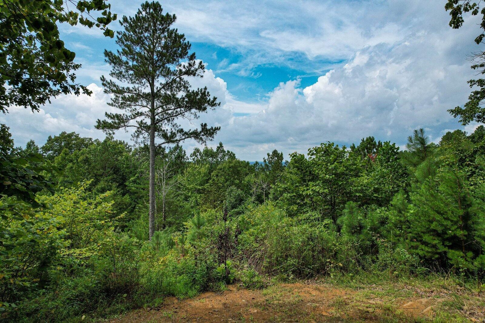 125 Fox Trail Drive Property Photo 3