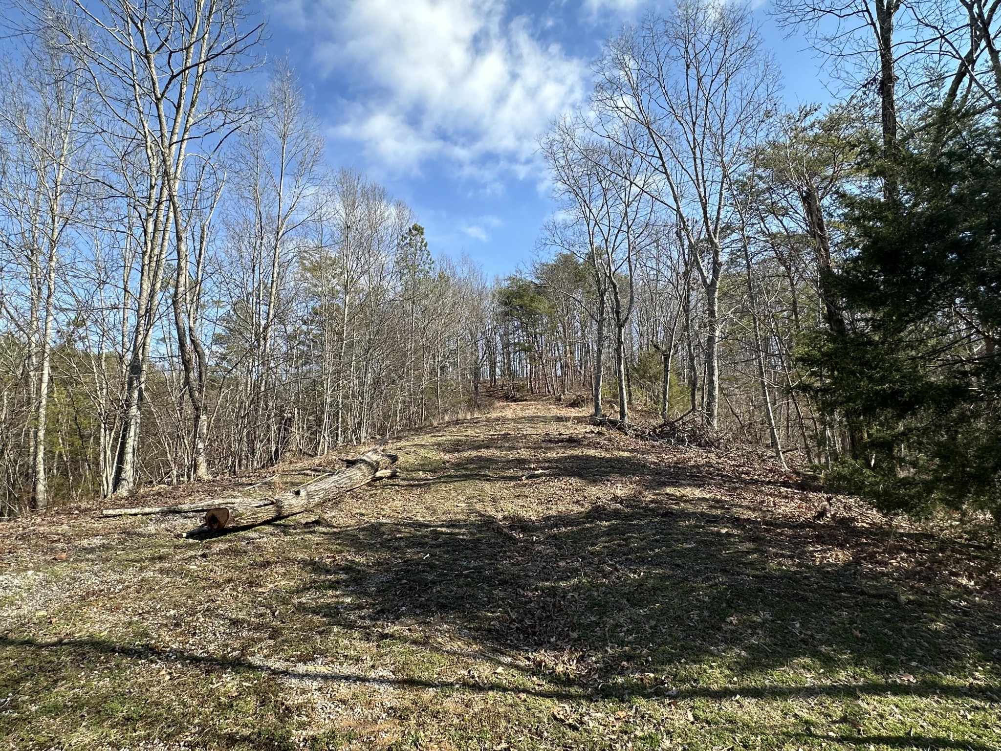 125 Fox Trail Drive Property Photo 6