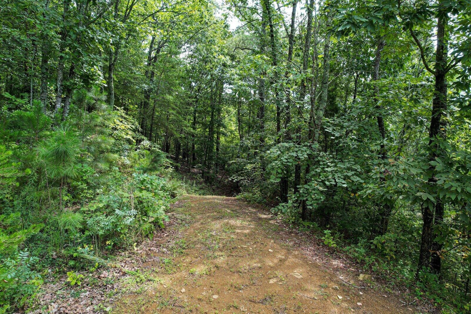 125 Fox Trail Drive Property Photo 13