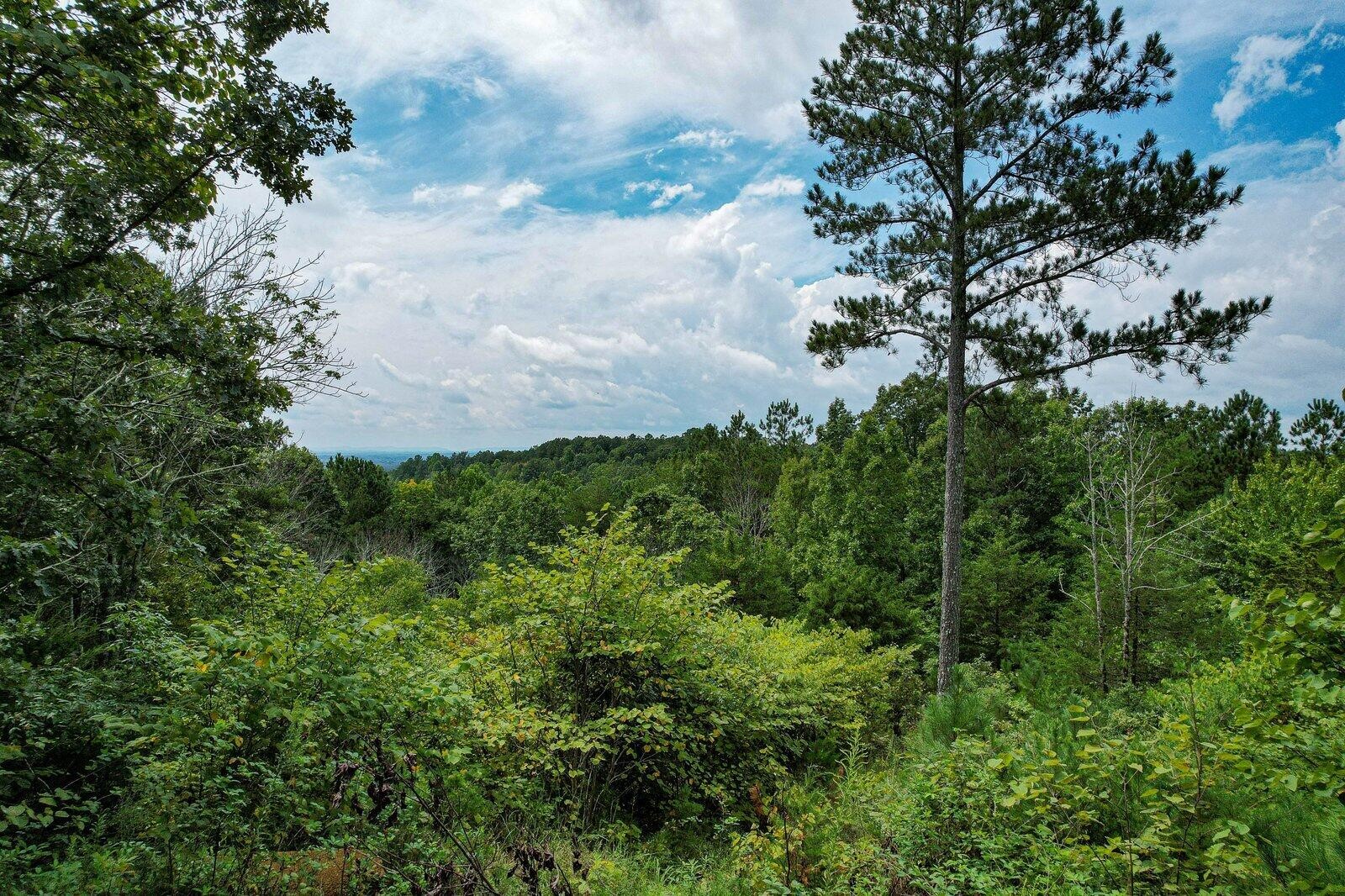 125 Fox Trail Drive Property Photo 14