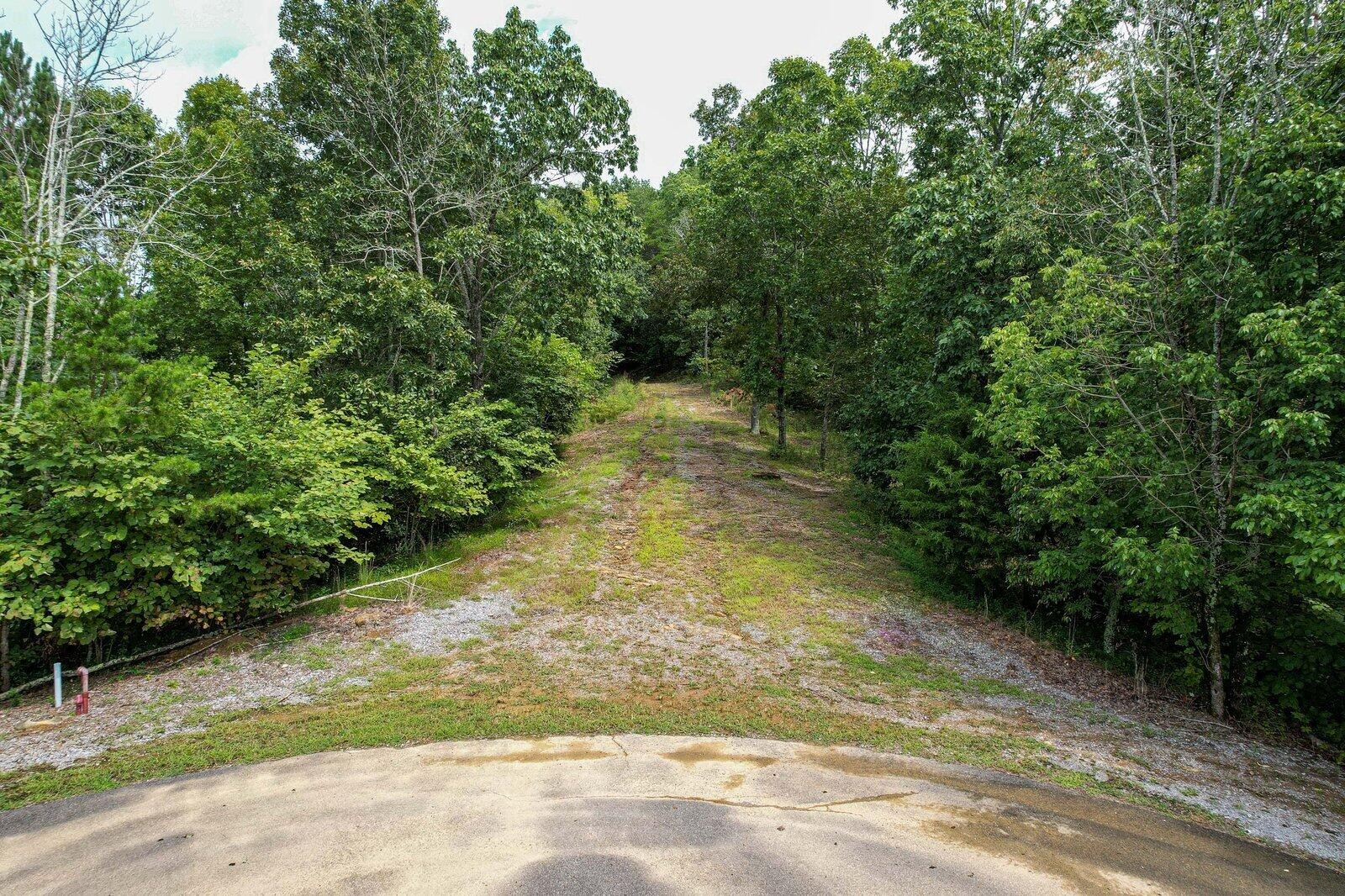 125 Fox Trail Drive Property Photo 15