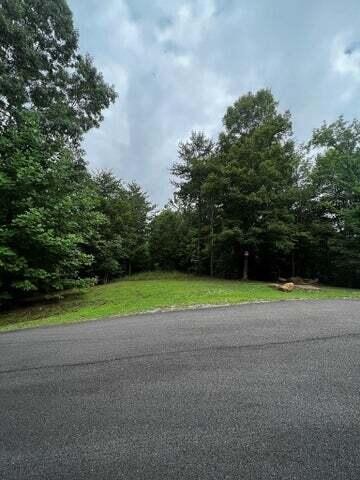 125 Fox Trail Drive Property Photo 16