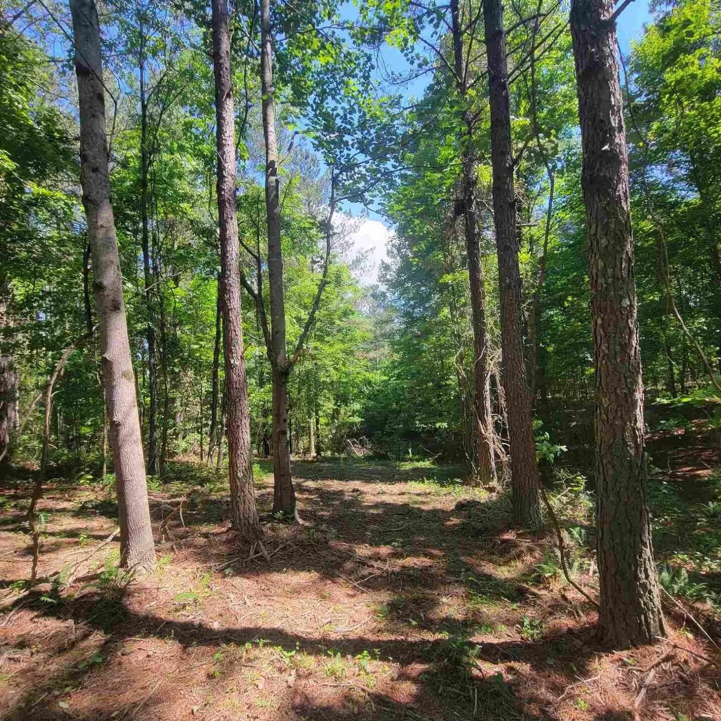 0 Split Rail Way Property Photo 1