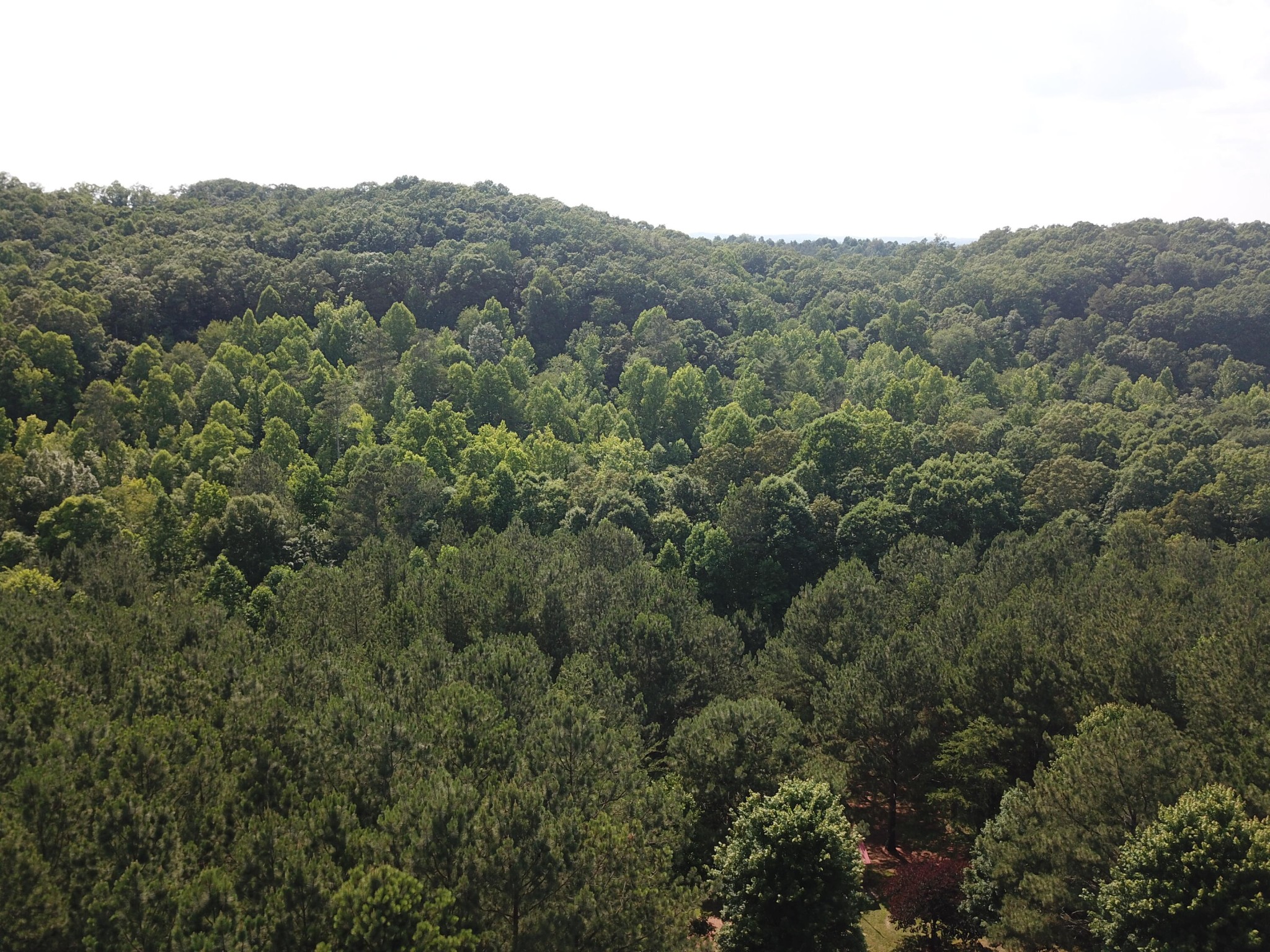 1415 Sloan Gap Road Property Photo 3