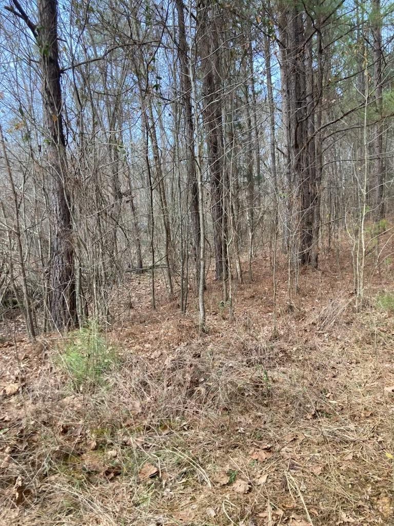 1415 Sloan Gap Road Property Photo 4