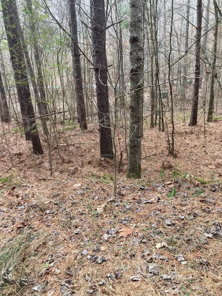 1415 Sloan Gap Road Property Photo 6