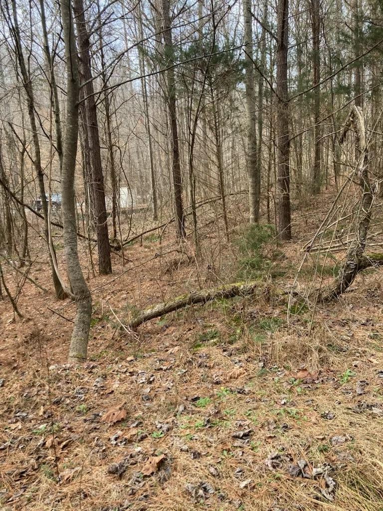 1415 Sloan Gap Road Property Photo 7