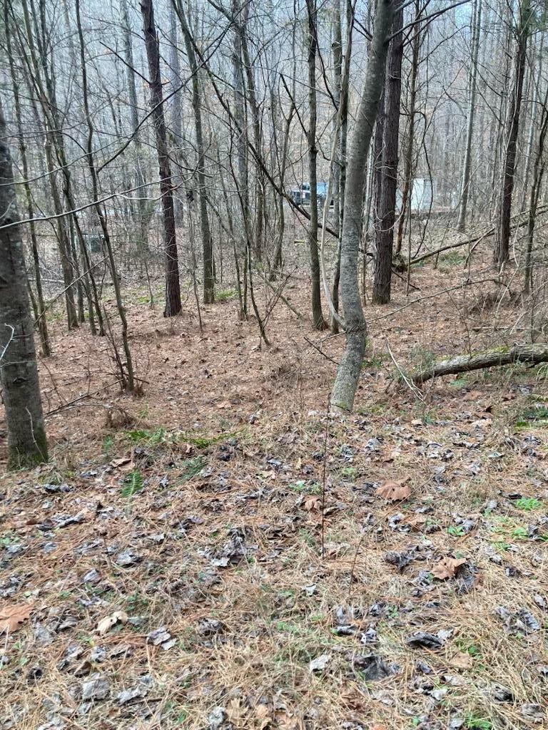 1415 Sloan Gap Road Property Photo 8