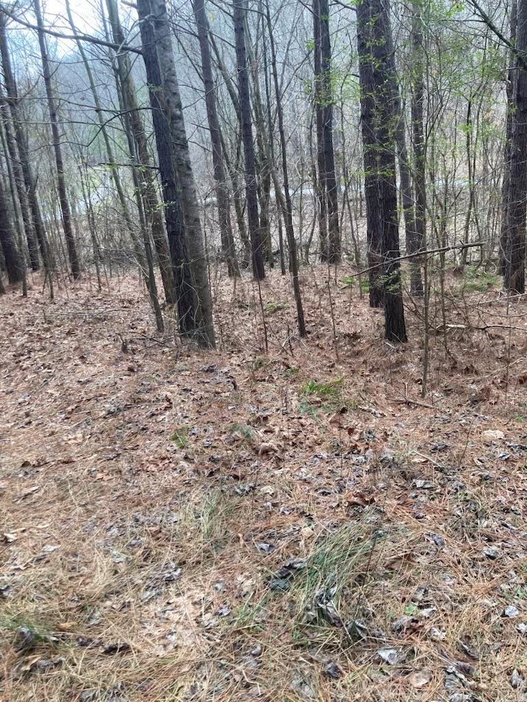 1415 Sloan Gap Road Property Photo 9