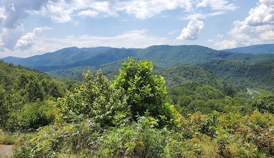 1415 Sloan Gap Road Property Photo 13