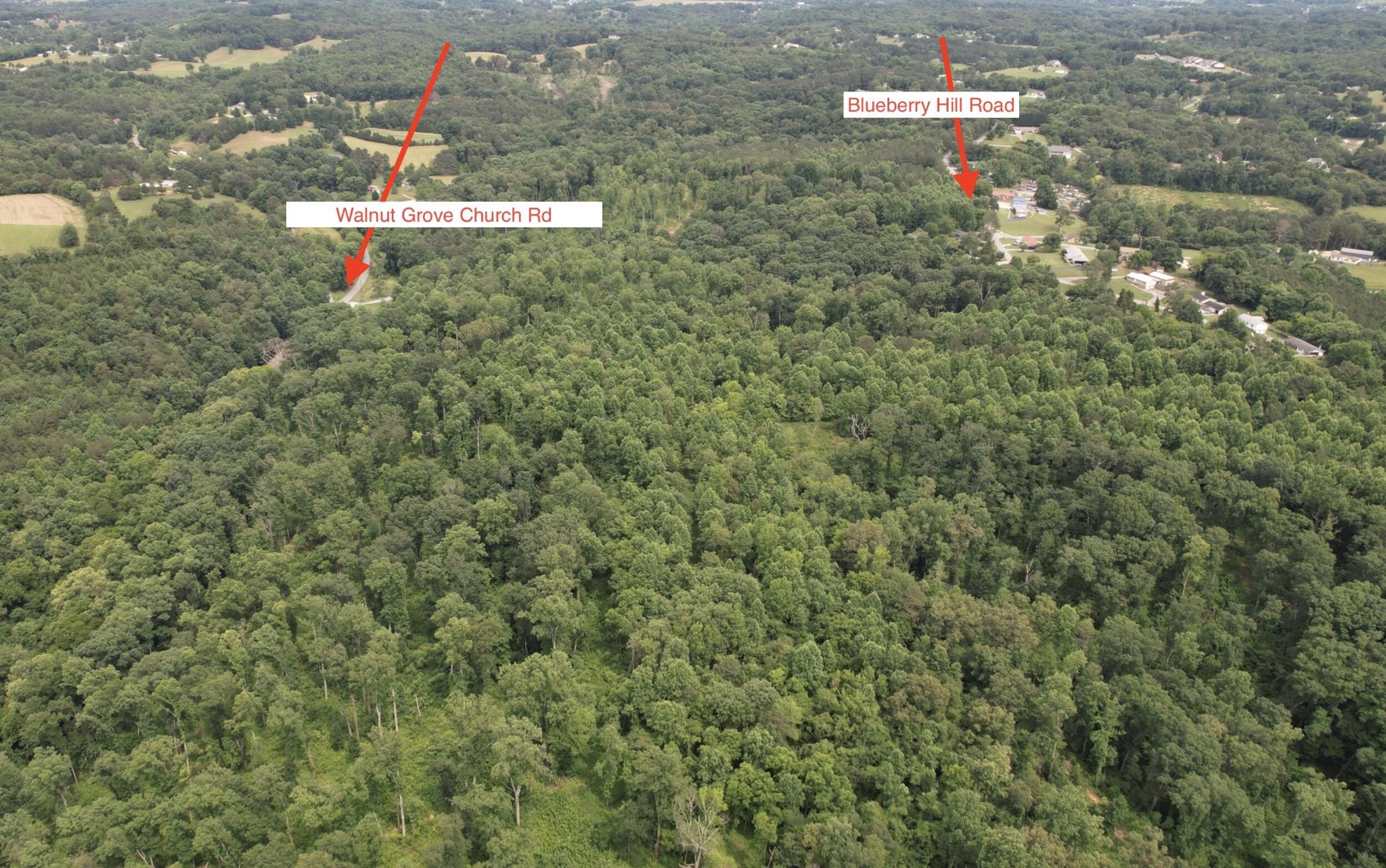 0 Rhea County Highway Property Photo 3
