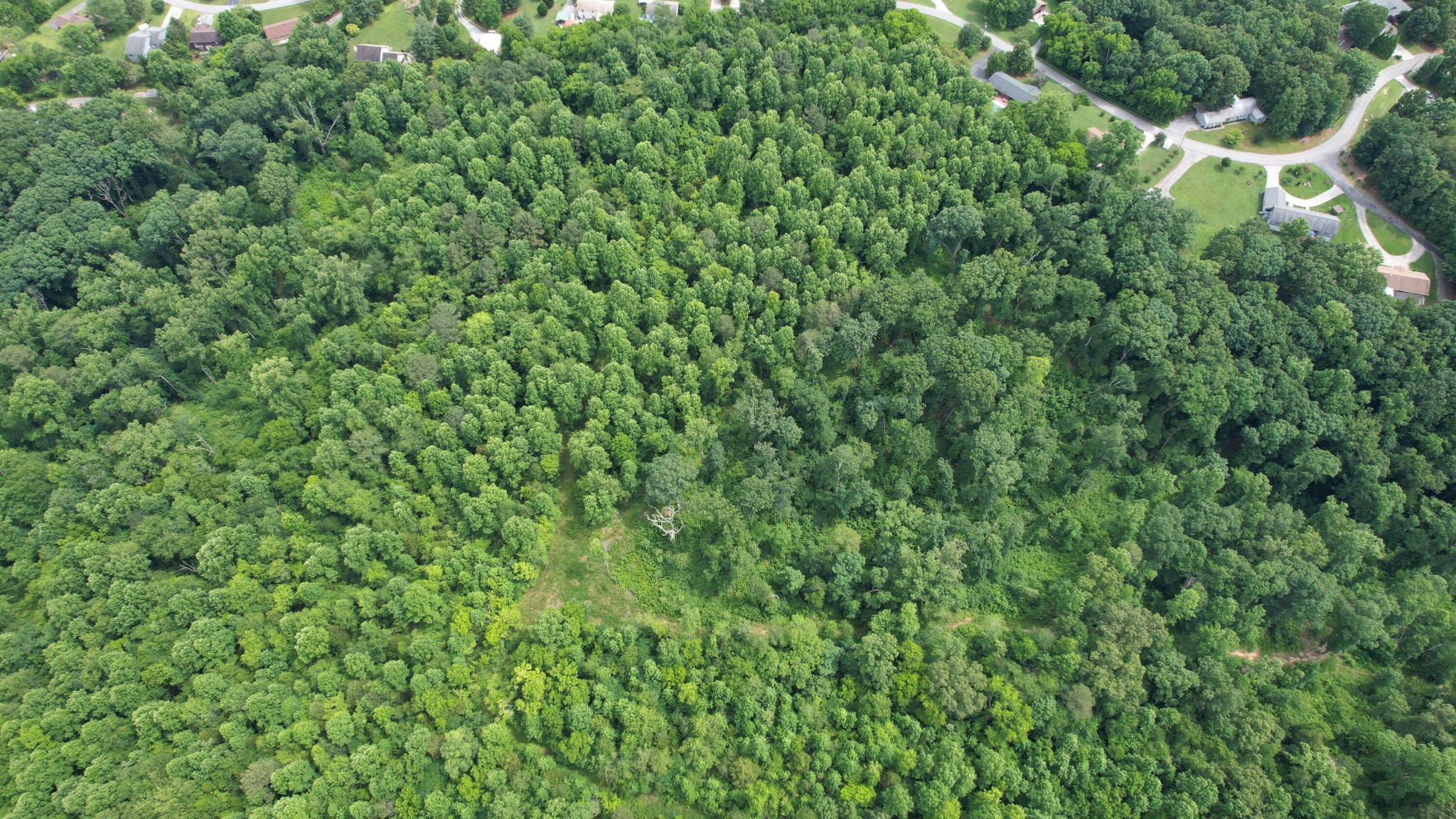 0 Rhea County Highway Property Photo 8