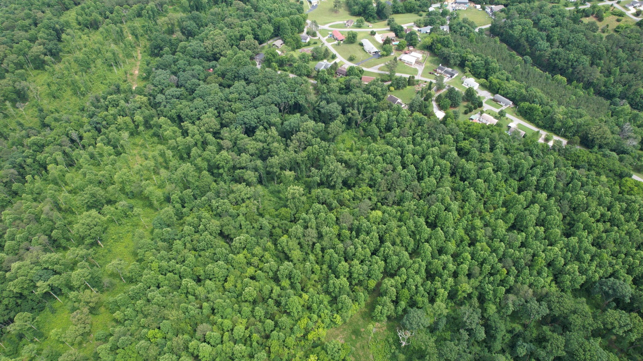 0 Rhea County Highway Property Photo 9
