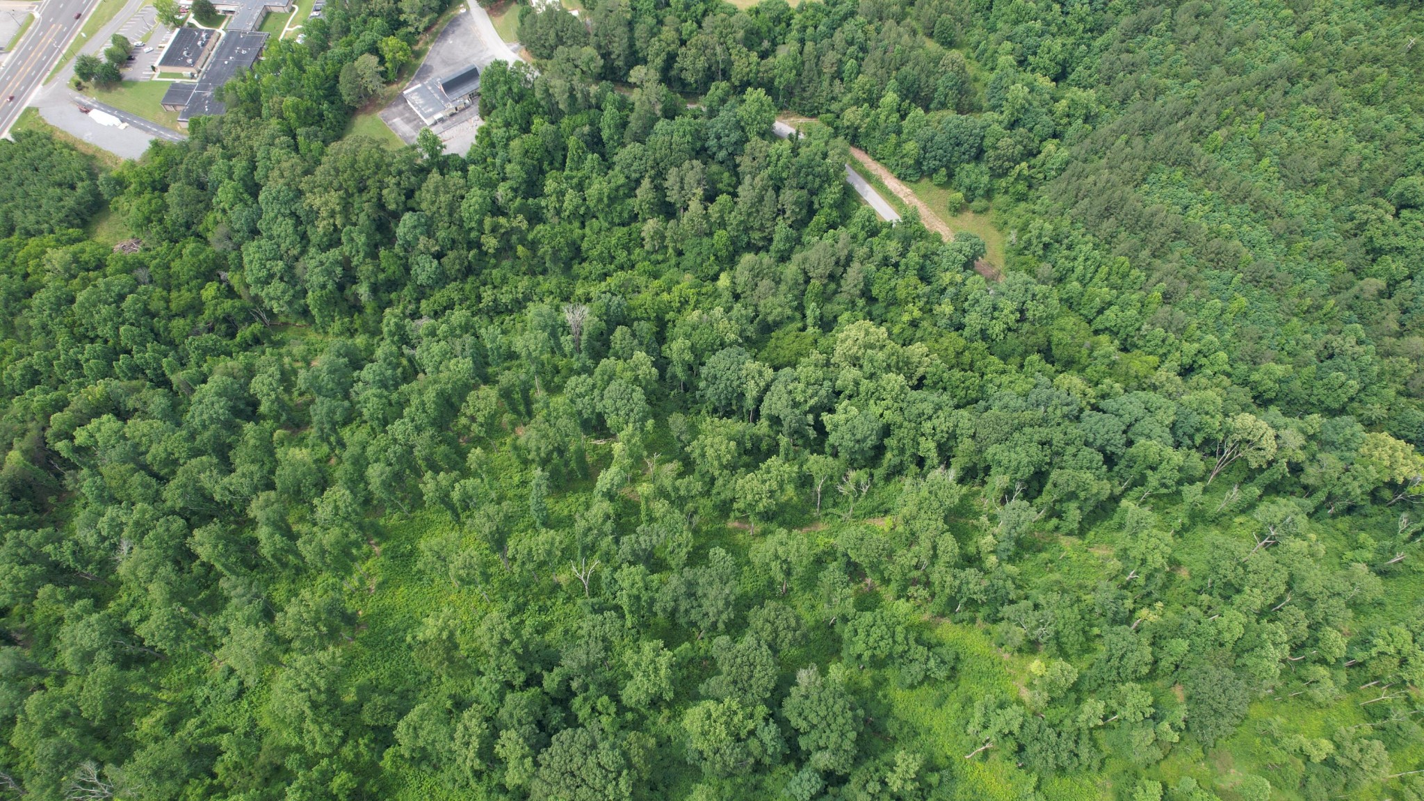 0 Rhea County Highway Property Photo 15