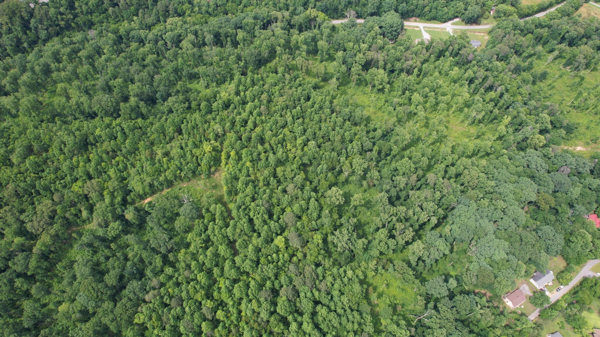 0 Rhea County Highway Property Photo 31