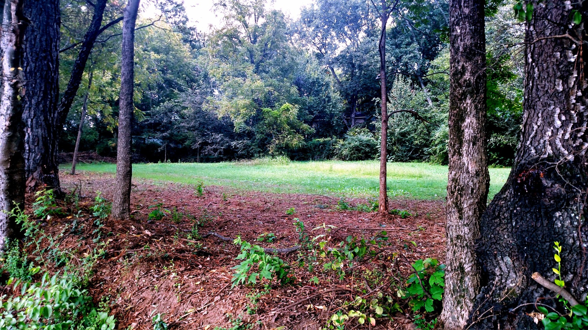 0 W Madison Avenue Property Photo 8
