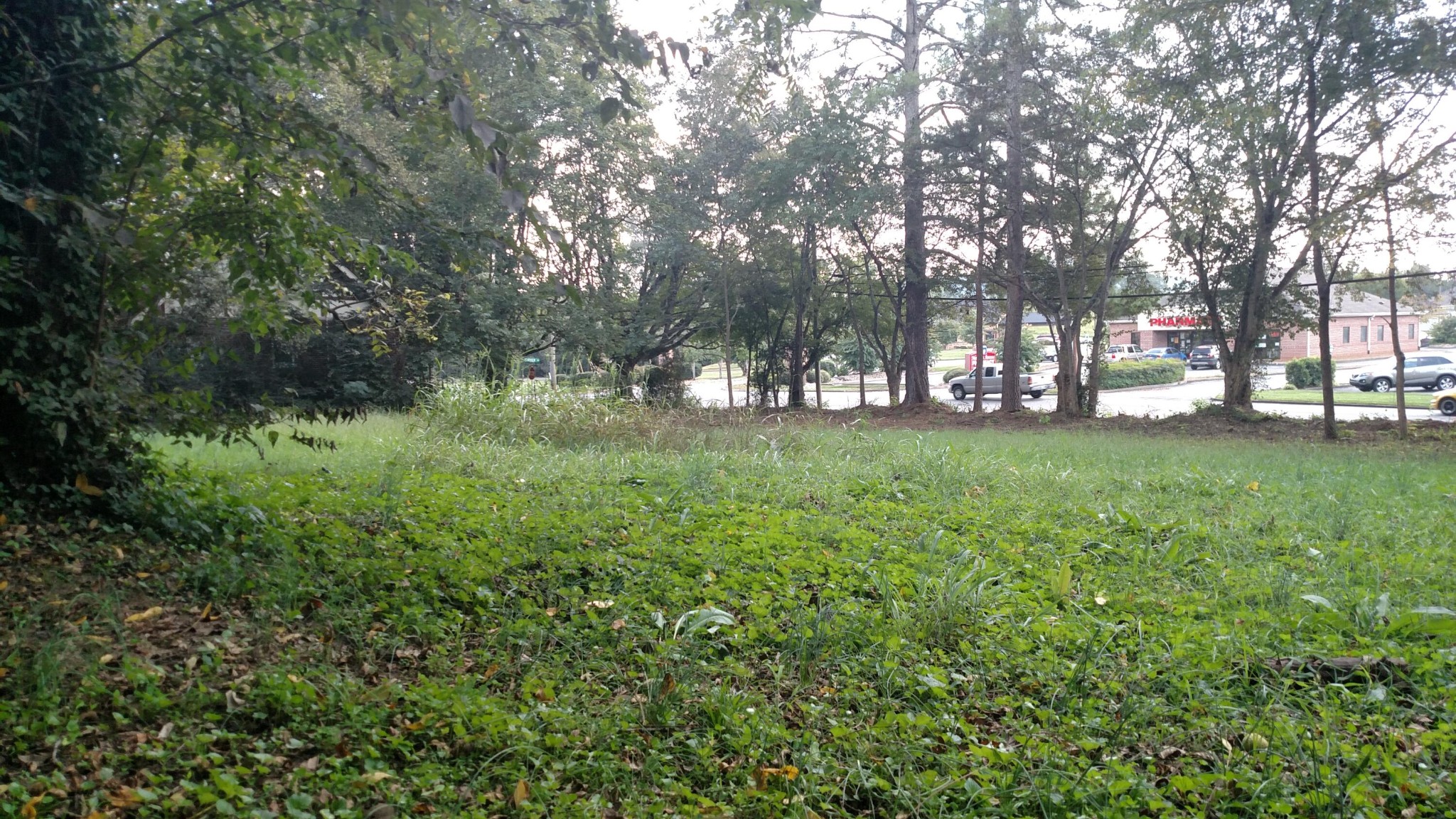 0 W Madison Avenue Property Photo 13
