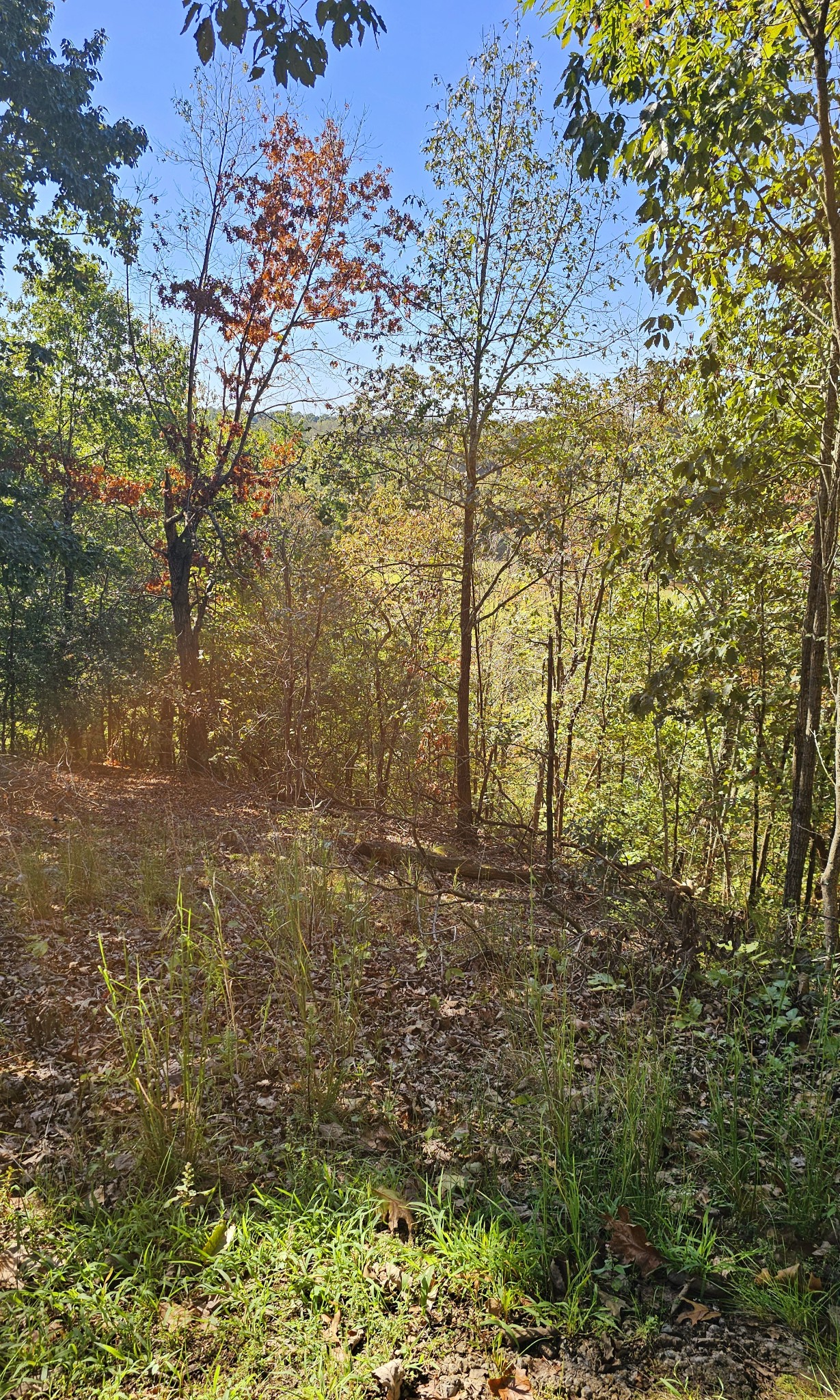 0 Big Richland Drive Property Photo 3