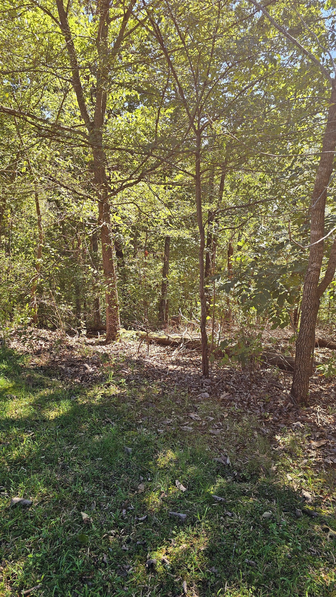 0 Big Richland Drive Property Photo 4