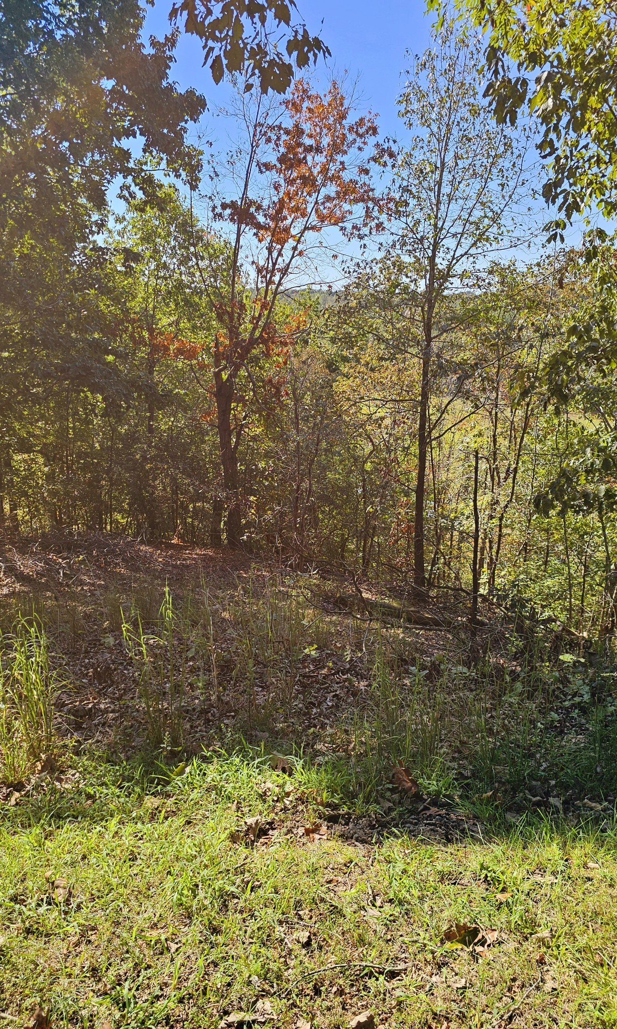 0 Big Richland Drive Property Photo 6
