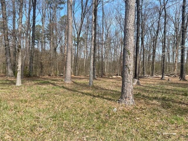 0 Se Johnson Road Property Photo 4