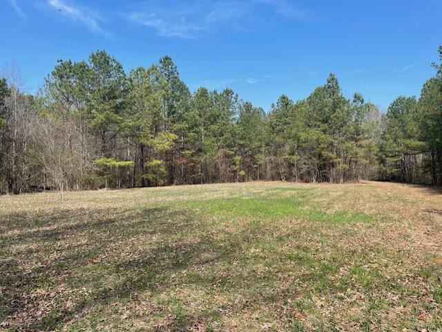 0 Se Johnson Road Property Photo 9